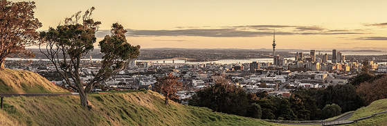 Auckland Central & South Office